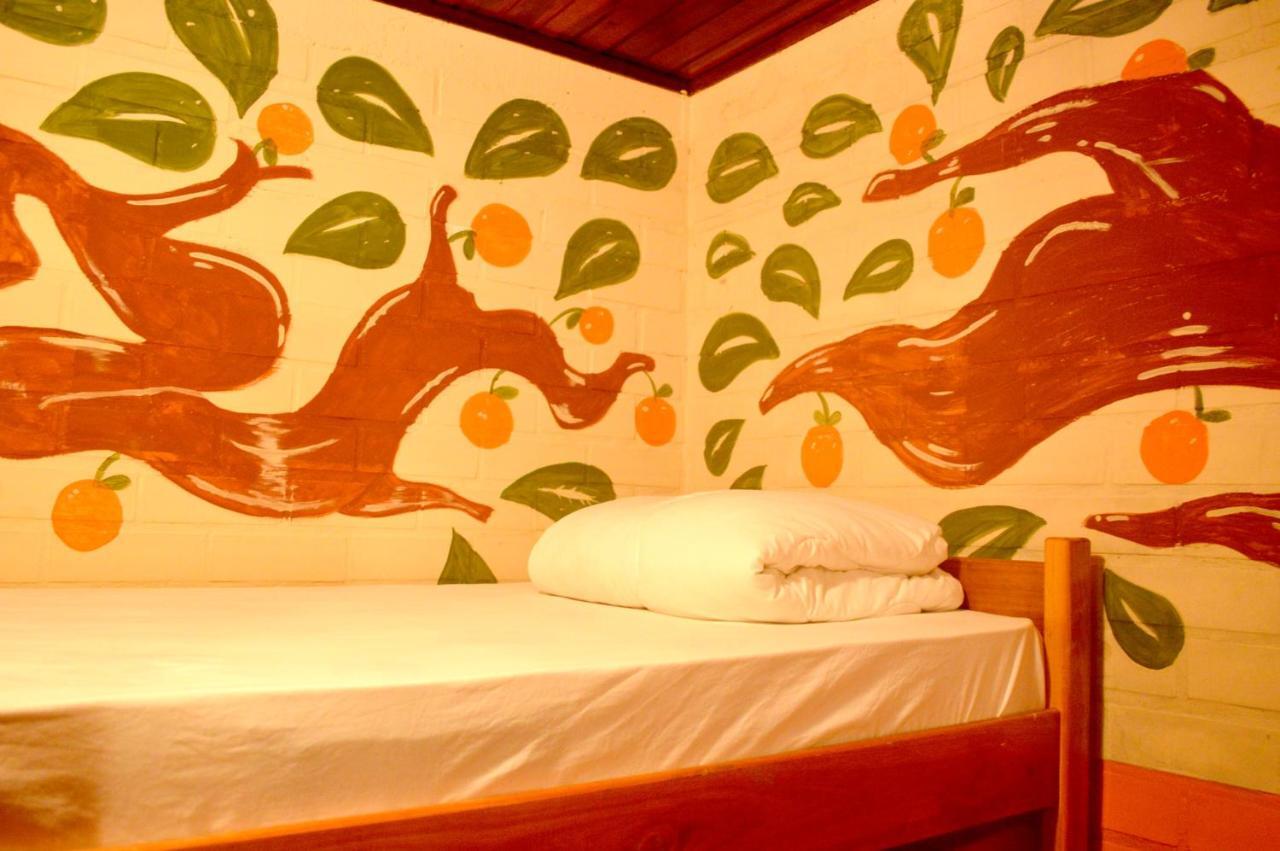 Floripa Backpackers Home Florianópolis Esterno foto